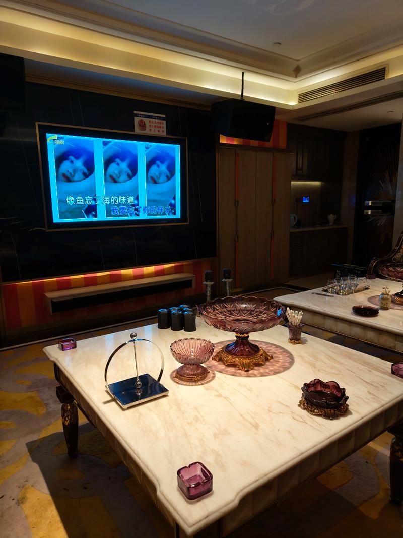 济南商务ktv价格多少钱一个小时-平阴县ktv预订